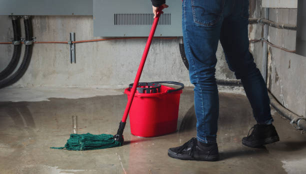 Best Local water damage restoration  in Highlandville, MO