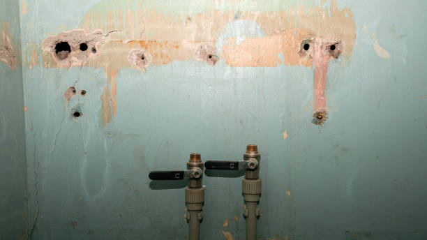 Best Commercial water damage restoration  in Highlandville, MO
