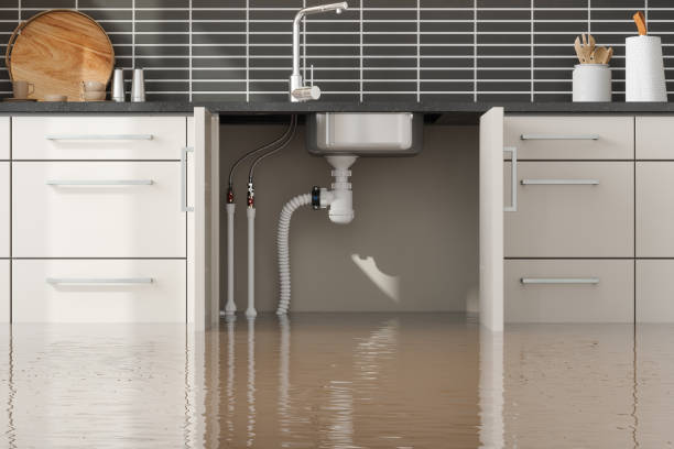 Reliable MO Water damage restoration Solutions