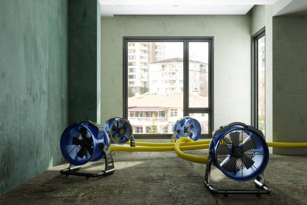 Water damage restoration mold remediation in MO